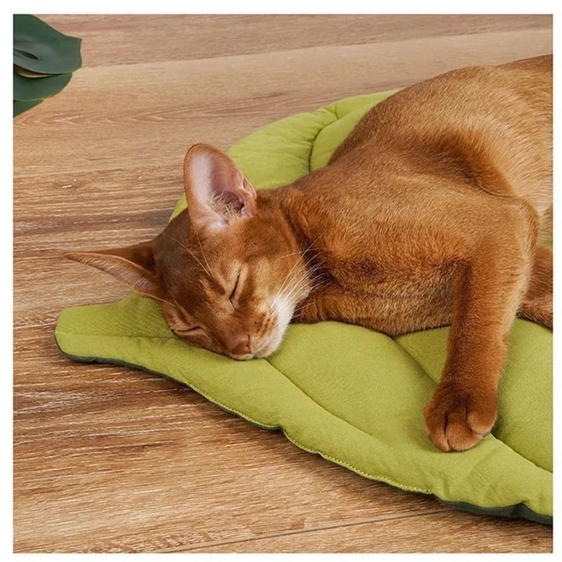 Cozy Leaf-Shaped Pet Mat