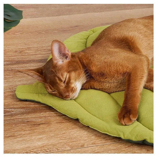 Cozy Leaf-Shaped Pet Mat