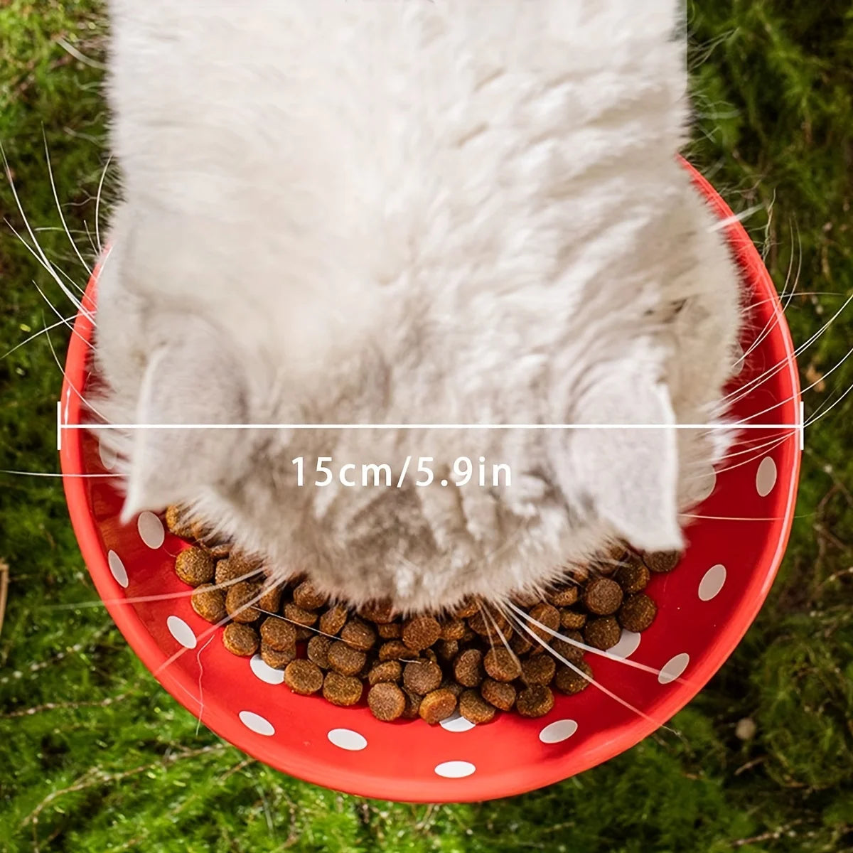 Resin Mushroom Cat Bowl - 300ml